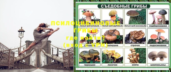 стафф Остров