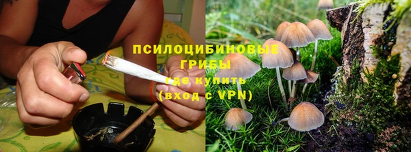 mix Осинники